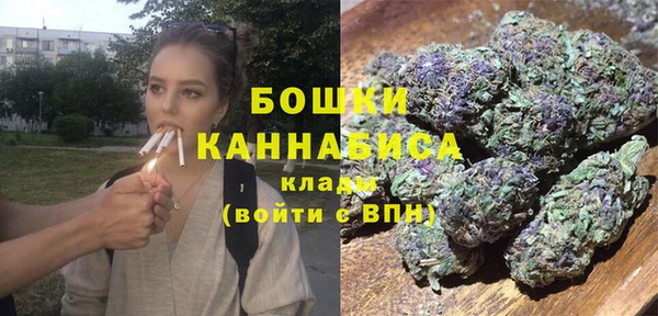 сатива Верхний Тагил