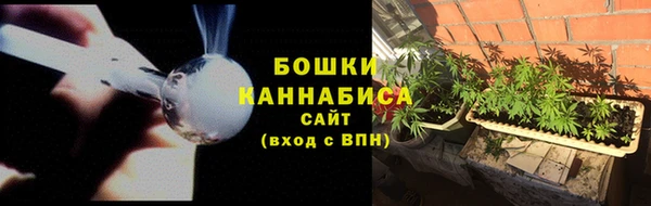 прущие грибы Бронницы
