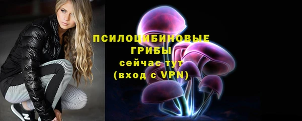 сатива Верхний Тагил