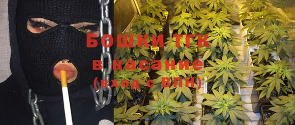 сатива Верхнеуральск