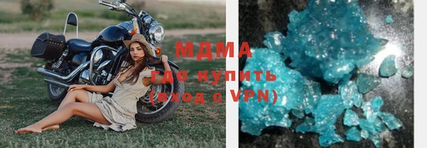 прущие грибы Бронницы