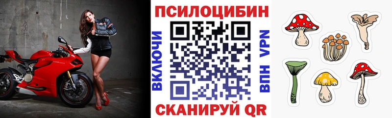 магазин продажи   Рыбинск  omg рабочий сайт  Галлюциногенные грибы MAGIC MUSHROOMS 
